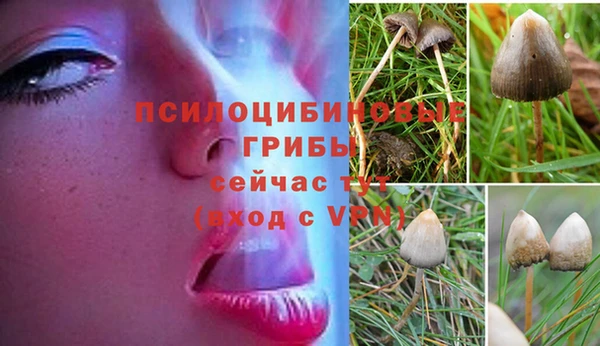 mdpv Белоозёрский